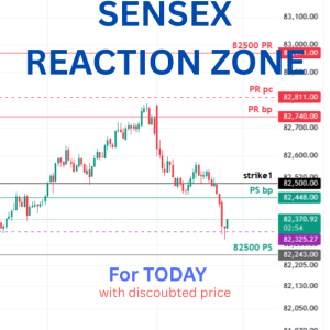 SENSEX Reaction Zone Today
